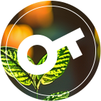 EVO��Ѷ��(�й���)�ٷ���վ