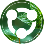 EVO��Ѷ��(�й���)�ٷ���վ