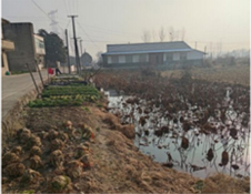 EVO��Ѷ��(�й���)�ٷ���վ